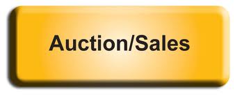 auction auction
